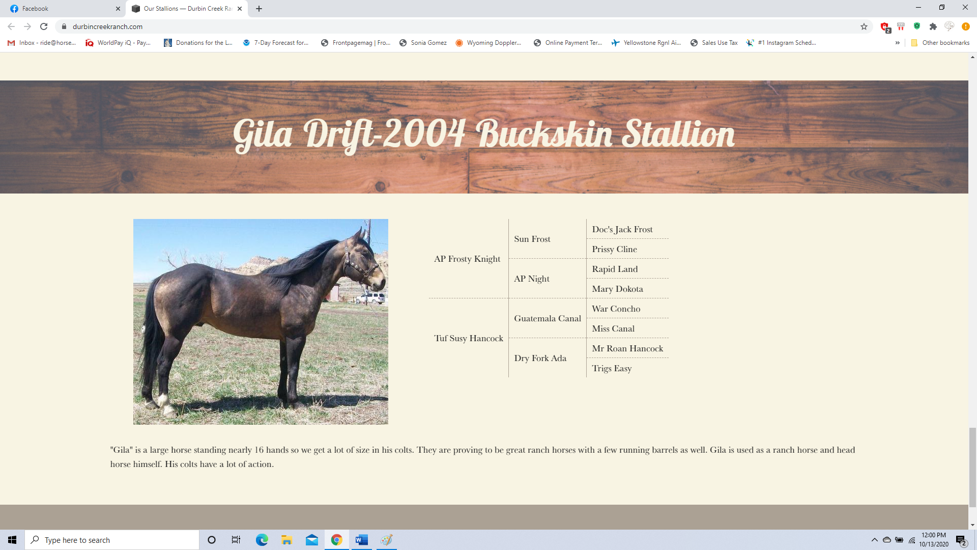Stanley's Dad_GILA DRIFT buck QH 2004_Durbin Creek Website Listing